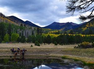 Image post by @nauflagstaff on Instagram