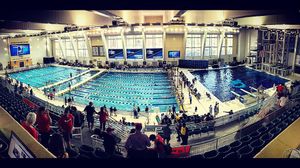 Image post by @gatorsswimdv on Instagram