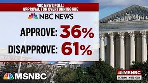 Video post by @msnbc on YouTube