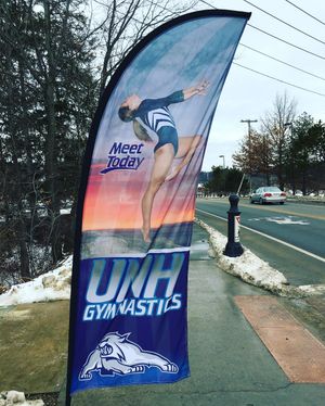 Image post by @unhgymnastics on Instagram