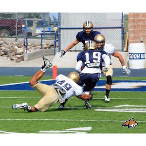Image post by @msubobcatsfb on Instagram