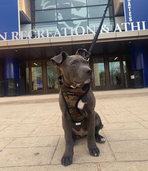 Image post by @setonhall on Instagram