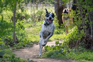 Image post by @jonathn_roberts on Instagram