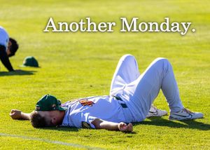 Image post by @theboisehawks on Instagram