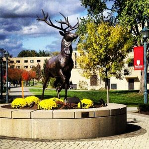 Image post by @fairfieldu on Instagram