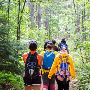 Image post by @NatlParkService on Twitter