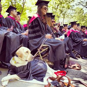 Image post by @harvard on Instagram