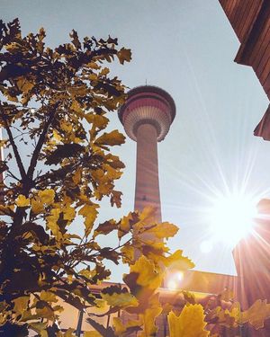 Image post by @cityofcalgary on Instagram