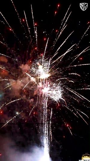 Video post by @wfuniversity on TikTok