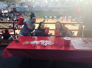 Image post by @uindydm on Instagram
