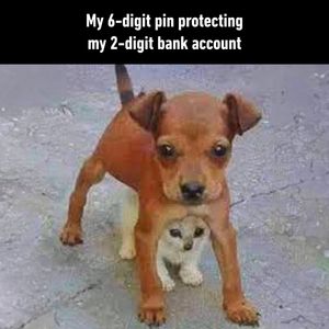 Image post by @9gag on Instagram