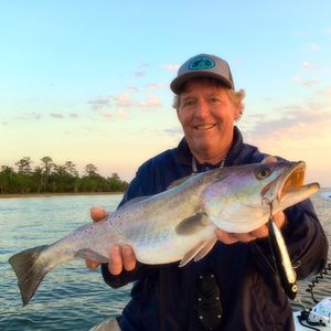 Image post by @toadfishoutfitters on Instagram