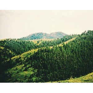 Image post by @plusjames on Instagram