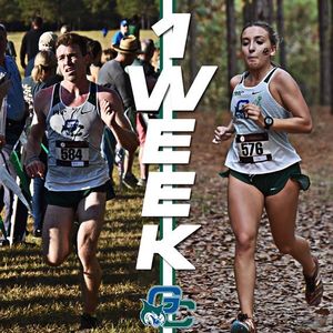 Image post by @gcsubobcats on Instagram