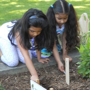 Image post by @kidsgardening on Instagram