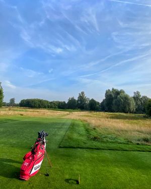 Image post by @wilsongolfcanada on Instagram