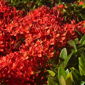 Image post by @kinikinitours on Instagram