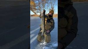 Video post by @jonasederfishing on YouTube