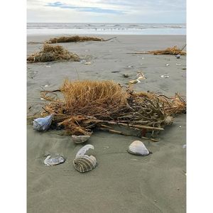 Image post by @kiawahresort on Instagram