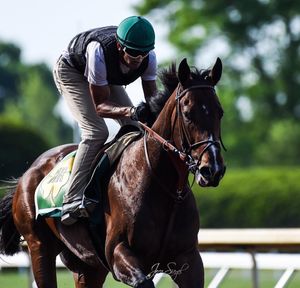 Image post by @spendthriftfarm on Instagram