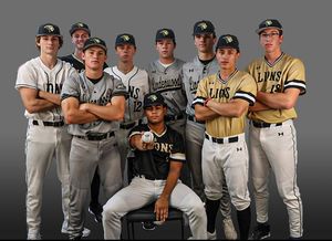 Image post by @lindenwoodbaseball on Instagram
