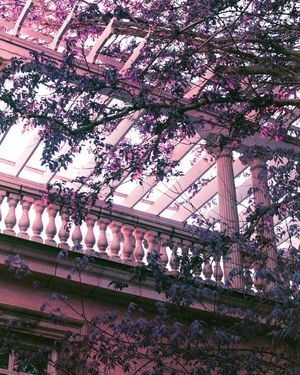 Image post by @ethanl13n on Instagram