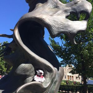 Image post by @fordhamcab on Instagram