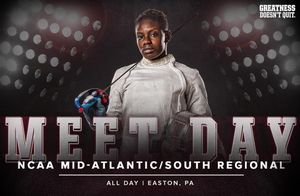 Image post by @templefencing on Instagram