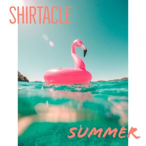 Image post by @shirtacle on Instagram