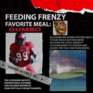 Image post by @jaxsharks on Instagram