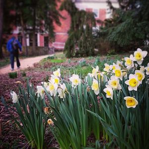 Image post by @uncadmissions on Instagram