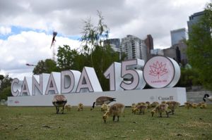 Image post by @cityofcalgary on Instagram