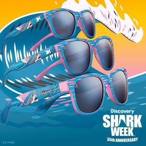 Image post by @knockaround on Instagram