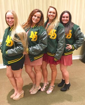 Image post by @ndsusoftball on Instagram