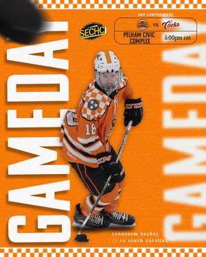 Image post by @tennesseehockey on Instagram