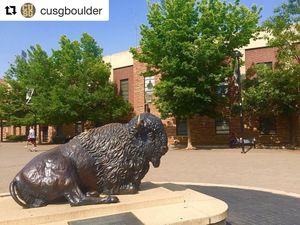 Image post by @cuboulder on Instagram