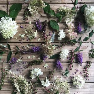 Image post by @thewildingcollective on Instagram