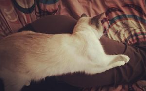Image post by @shipphappens__ on Instagram