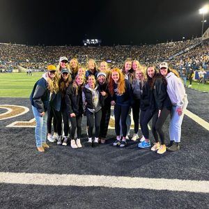 Image post by @msubobcatswbb on Instagram
