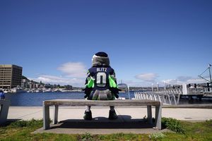 Image post by @blitztheseahawk on Instagram