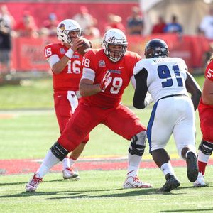 Image post by @isuredbirds on Instagram