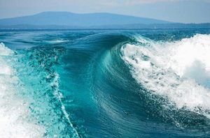 Image post by @tigeboats on Instagram