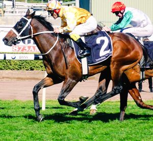 Image post by @australianturfclub on Instagram
