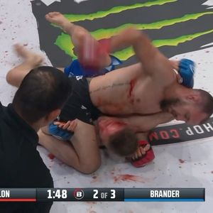 Image post by @bellatormma on Instagram