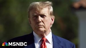 Video post by @msnbc on YouTube