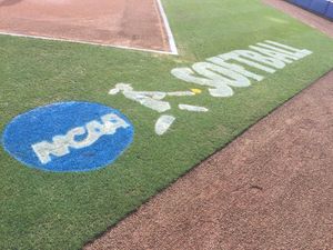 Image post by @gatorssb on Instagram