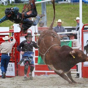 Image post by @cloverdalerodeo on Instagram