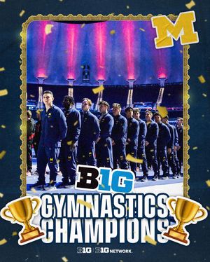 Image post by @b1ggymnastics on Instagram