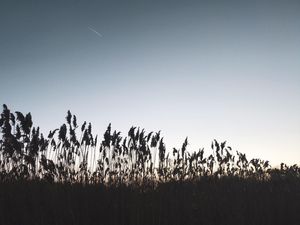 Image post by @ninamarie_creative on Instagram