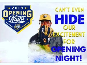 Image post by @burlington_bees on Instagram